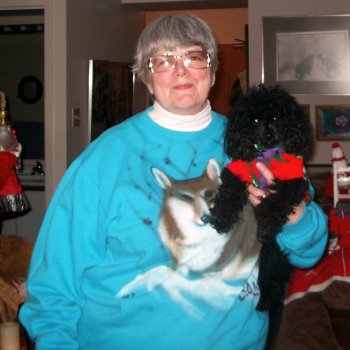 Pomroth Toy Poodles ~ Copyright Protected