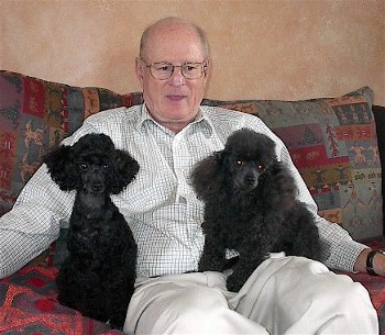 Pomroth Toy Poodles ~ Copyright Protected 