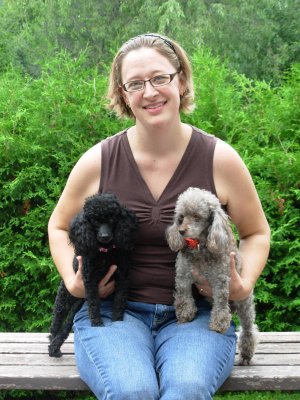 Pomroth Toy Poodles ~ Copyright Protected