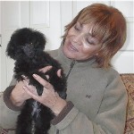 Pomroth Toy Poodles ~ Copyright Protected 