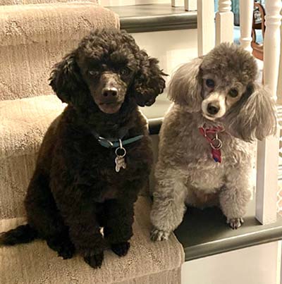 Oliver and Macy